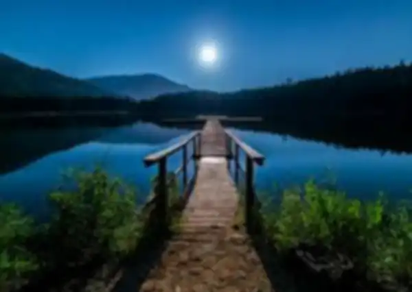 Banner_Cross_LinK_fULL__vnb,jvgfnbkhmbcitgrgcwriu__undefined