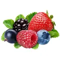 CATEGORY_BERRIES__Mickno Organics