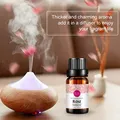 CATEGORY_AROMA_OIL_DIFFUSER__Fregranto