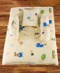 CATEGORY_BABY_GADDA_SET__CART FOR BABY
