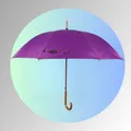 CATEGORY_STRAIGHT_UMBRELLAS	__KK