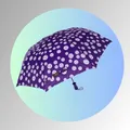 CATEGORY_2_-_FOLD_UMBRELLAS	__KK