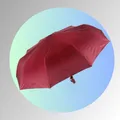 CATEGORY_3_-_FOLD_UMBRELLAS	__KK