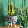 CATEGORY_POT_&_PLANTER__SONE KEY CHIDIYA