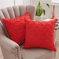 CATEGORY_PILLOW_&_CUSHION__Nitsha