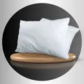 CATEGORY_PILLOWS	__Hoxten