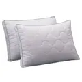 CATEGORY_PILLOWS__Wildmint