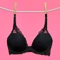 CATEGORY_BRA__Shilpanjali