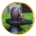 CATEGORY_SHIVLING__Shiv Narmadeshwar Shivling