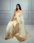 CATEGORY_ORGENZA_SILK_SAREE__INDIAN LINEN SAREE