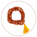 CATEGORY_RUDRAKSHA__MAYAPURI