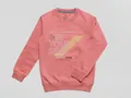 CATEGORY_SWEAT_SHIRT__NEUVIN 
