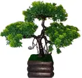 CATEGORY_ARTIFICIAL_PLANT__Ryme