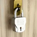 CATEGORY_PADLOCKS_AND_OTHERS__ DUKE