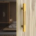 CATEGORY_DOOR_HANDLES__ DUKE