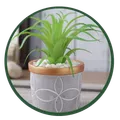 CATEGORY_REFRESH_YOUR_DAYS__ZenseFarm
