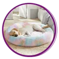 CATEGORY_PET_FURNITURE__Zexsazone