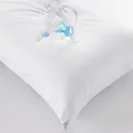CATEGORY_PILLOW_PROTECTOR__MATTRESS PROTECTOR