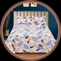 OUR_COLLECTIONS_POPULAR_COLLECTIONS__Rozlay
