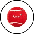 CATEGORY_TENNIS_CRICKET_BALL__XTROKE