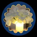 CATEGORY_LED_NIGHT_LAMPS__SPOQE