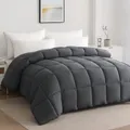 CATEGORY_COMFORTER__Royal Prints