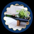 CATEGORY_PLANTERS__Giftalk