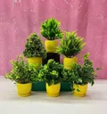 CATEGORY_Artificial_Plants__Enlightens