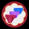 CATEGORY_WOMEN'S_PANTY__Be perfect
