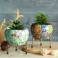 CATEGORY_FLOWER_POTS__POTS N PLANTERS