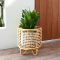 CATEGORY_TRENDING_COLLECTIONS__POTS N PLANTERS