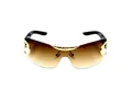 CATEGORY_SUNGLASSES__SwamiRaj EyeWorld