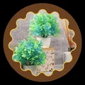 CATEGORY_ARTIFICIALS_PLANTS__Inspiring Brush