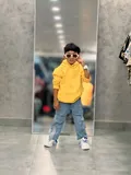 CATEGORY_Hoodies__HathiRaja