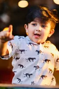 CATEGORY_SHIRT__HathiRaja