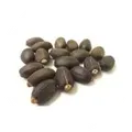 CATEGORY_PLANT_SEEDS__MG NATURALS