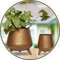 CATEGORY_METAL_PLANTER__Vinamra28