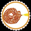CATEGORY_RUDRAKSHA__Rudratva 