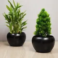 OUR_SPECIALTY__POTS_AND_PLANTERS__Lasaki