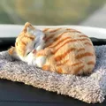 CATEGORY_CAR_ACCESSORIES__AYRAA LIFE