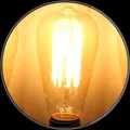 OUR_SPECIALTY_BULB__KINIS