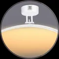OUR_SPECIALTY_DISPLAY_LIGHTS__KINIS