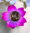 OUR_COLLECTIONS_CANDLE__Craftooba