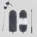 CATEGORY_ACCESSORIES__Evoza