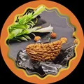 CATEGORY_RUDRAKSHA__Rudradhara