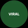 SHOP_THE_VIBE_VIRAL__Witzyy Woo