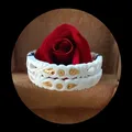 LATEST_DESIGNS_SHAKHA_BANGLES__Purabi
