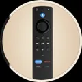CATEGORY_REMOTE__CHAMPION