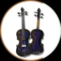 OUR_COLLECTIONS_VIOLIN__Goutam musical works
