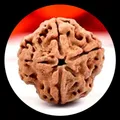 OUR_SPECIALTY_RUDRAKSHA_PRODUCTS__Aabha Internaational